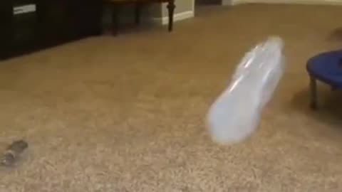 Amazing Flip Bottle