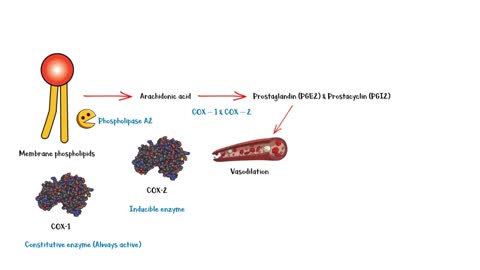 Ibuprofen (BRUFEN) _- Uses, Mechanism Of Action, Administration, Adverse Effects