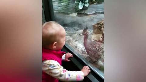 Kids and Babies Feeding Animals in ZOO - Cute Babies Meeting Animals for the first time in 2023