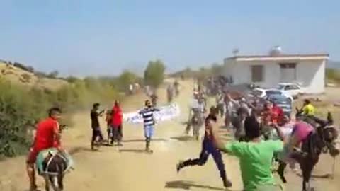 It only happens in Algeria, a terrified people that satisfies the laughter of the donkey race.