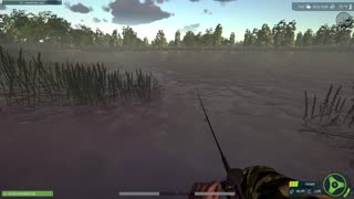 Ultimate Fishing