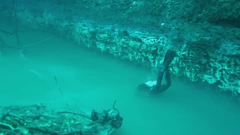 Dive in a Cenote. 2 water worlds in one