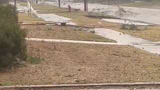 Alabama Tornado Leaves Big Mess