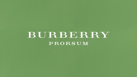 Explore the Burberry Prorsum S_S15 Show Inspirations