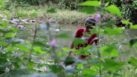 Survival skills: Catch fish by hand in river & grilled for food - Cooking fish eating delicious