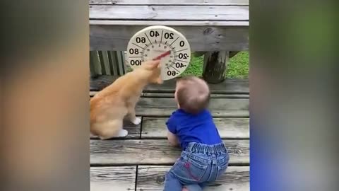 RS...cutes babies with drog and cats compilation