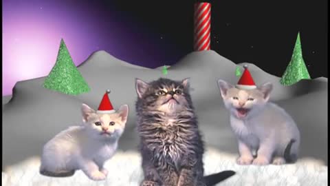 Jingle Cats - Silent night 10 HOURS