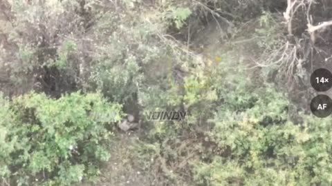 🇷🇺🇺🇦 Toretsk direction. A successful drone strike on a pair of Ukrainian militants