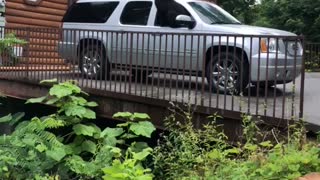 Bear Convinced to Climb Out of Car