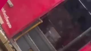 Video: Grúa en Cartagena transporta moto dentro de una buseta