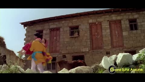 Chehra Kya Dekhte Ho _ Kumar Sanu_ Asha Bhosle _ Salaami 1994 Songs _ Ayub Khan