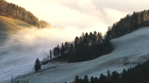 Beautiful nature - This fog wave was successfully captured on camera, and the effects are stunning.