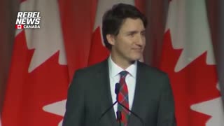 'Arrest Trudeau!' PM confronted with protesters during Toronto visit after Liberals drop in polls