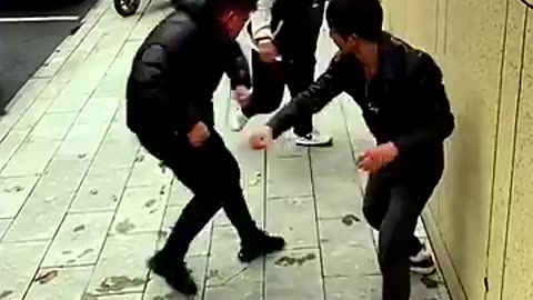 Street kung fu fight