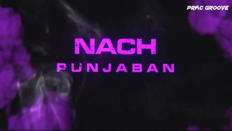 The Punjaabban Song - PRNC GROOVE