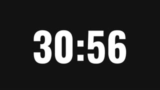 38 Minute Timer with Countdown