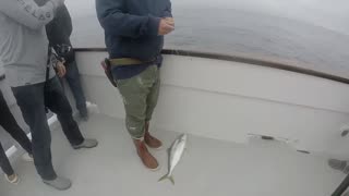 Liberty Full day Charter Off Shore! Yellowtail Fish!