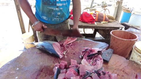 Tuna Cutting Skills _ Fish Cutting Skills