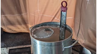 Maple sap process