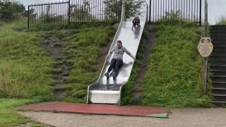 Dog Plays Hard On Slide