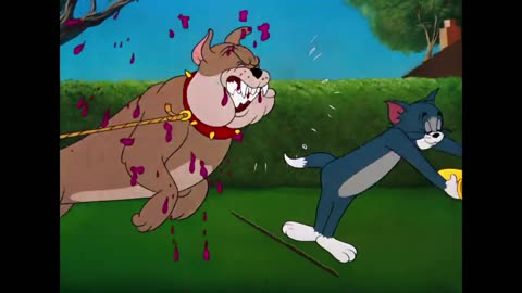 Tom and Jerry: Digital Frenzy so funny 😂😅😁😁😁😁 like and shere and follow me