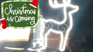LIGHT UP HORSES: 4th annual Cerulean Christmas Parade (2022)