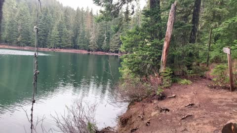 Shoreline Forest Hiking – Mount Hood National Forest – Oregon