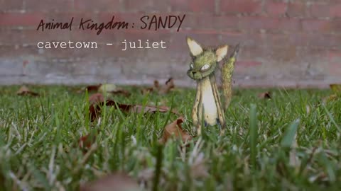 Animal Kingdom: Sandy ( Cavetown Juliet)