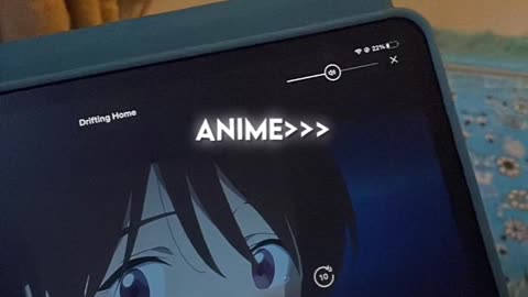 Anime lovers