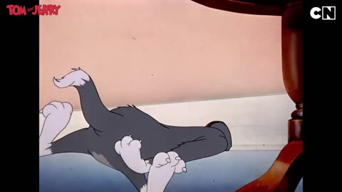 | Tom and Jerry Cartoon | #trending #viral #shorts #cartoon @cnindia