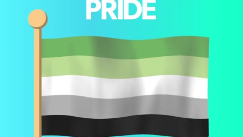 Conoscete il significato delle vostre bandiere del vostro orgoglio sodomita🏳️‍🌈? le bandiere per i diritti dei sodomiti LGBTQ non sono bandiere statali e possono essere deturpate e bruciate senza commettere un reato