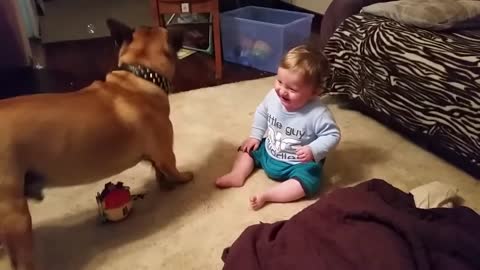 Baby laughing at dog & bubbles