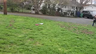 Kite Flying in the Backyard