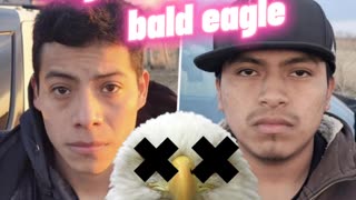 Illegal Migrants Kill Bald Eagle