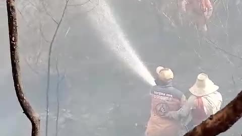 Incendio en granja apícola en Barichara, Santander