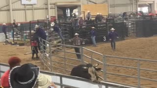 Bull Breaks Loose Into Crowd at Rodeo