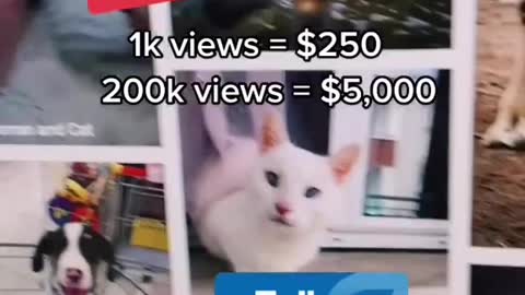 Make $5000 with 1 photo