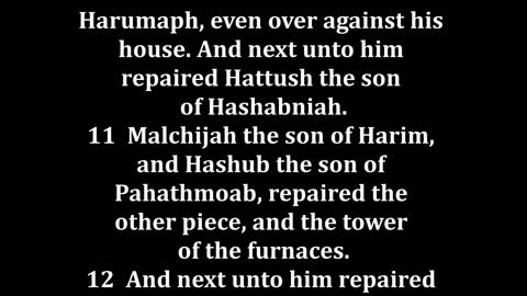 Nehemiah 3 King James version