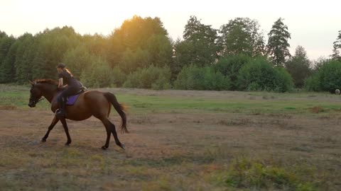 Woman riding horse by gallop at sunset. Horseback riding in slow motion