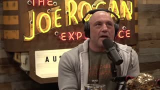 Joe Rogan: LOL WHAT Happens To Humans In Groups?! & The SECRET To Maintaining A Healthy Body & Mind!