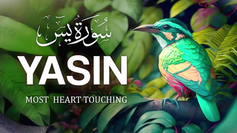 The Heart of the Quran - Recitation and Reflection