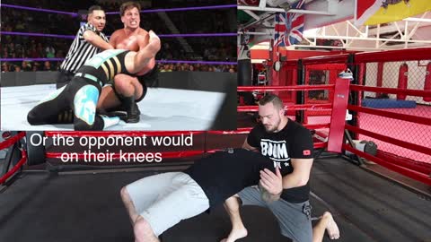 WWE SUBMISSIONS TESTED BY UFC FIGHTER!! UFC vs WWE!