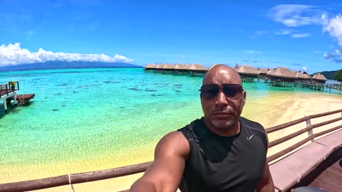 Moorea, French Polynesia Travel Vlog