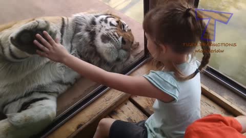 FORGET CATS Funny KIDS vs ZOO ANIMALS are WAY FUNNIER - TRY NOT TO LAUGH