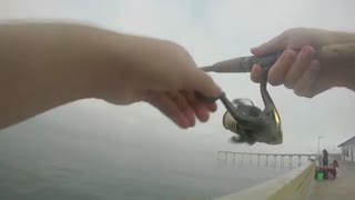 Ocean Beach Pier Fishing Mackerel 7! Including sculpin and Lobster!