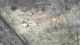 TOS-1A Hitting the Ukrainian Soldiers