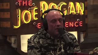 Joe Rogan Slams Jimmy Kimmel For Being In ‘Leftist Bubble’ Of Hollywood