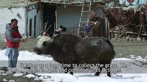 DEOSAI - The Last Sanctuary (English Documentary)