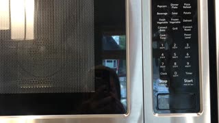 Microwave/Convection Operation