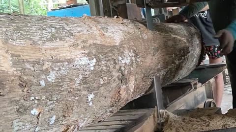 Young teak wood manufacturing board materials and beams order conglomerate of Dewata Island